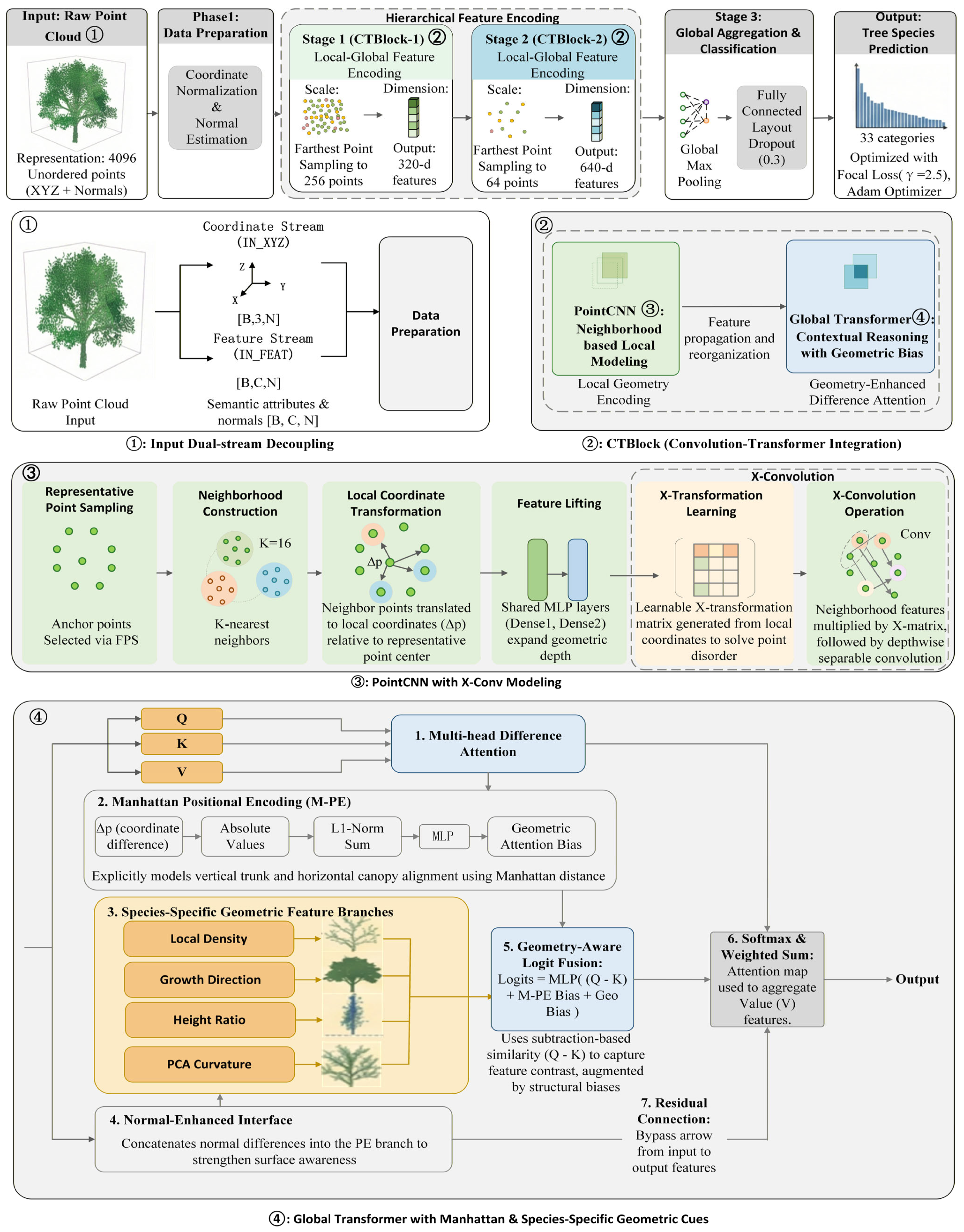 FA-CTNet: A Geometry-Aware Deep Learning Approach for Tree Species ...