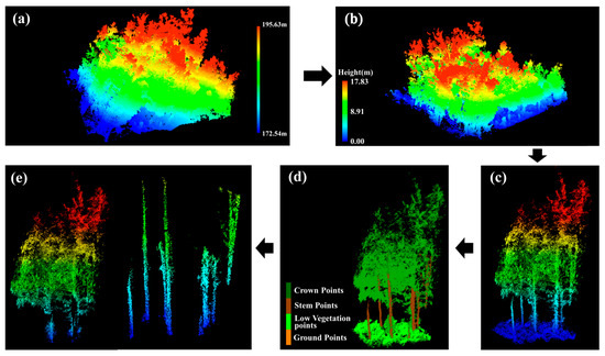 Remote Sensing | Special Issue : LiDAR Technology in Forest Ecosystems ...