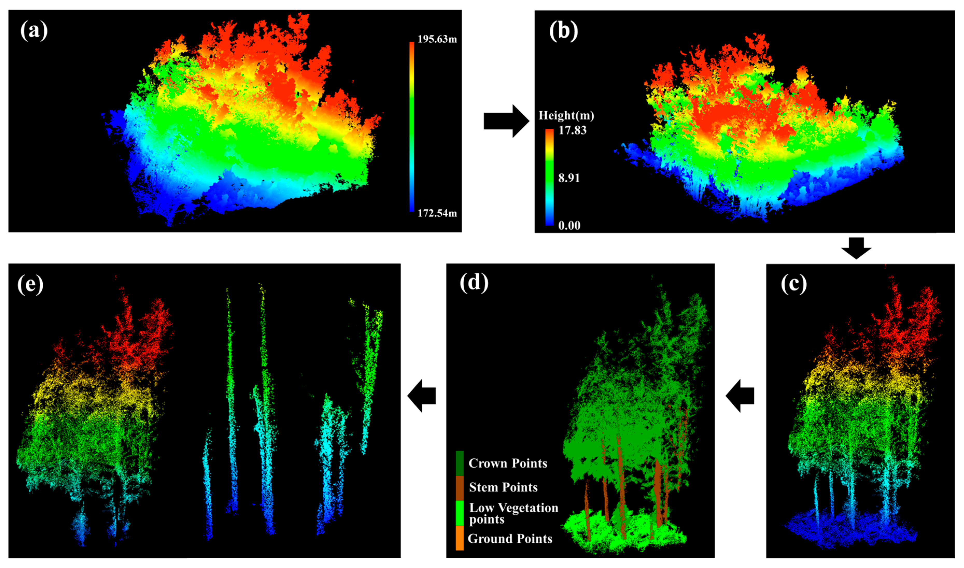 Spatial Scale-Up Modeling of Forest Canopy Water Storage Capacity by ...