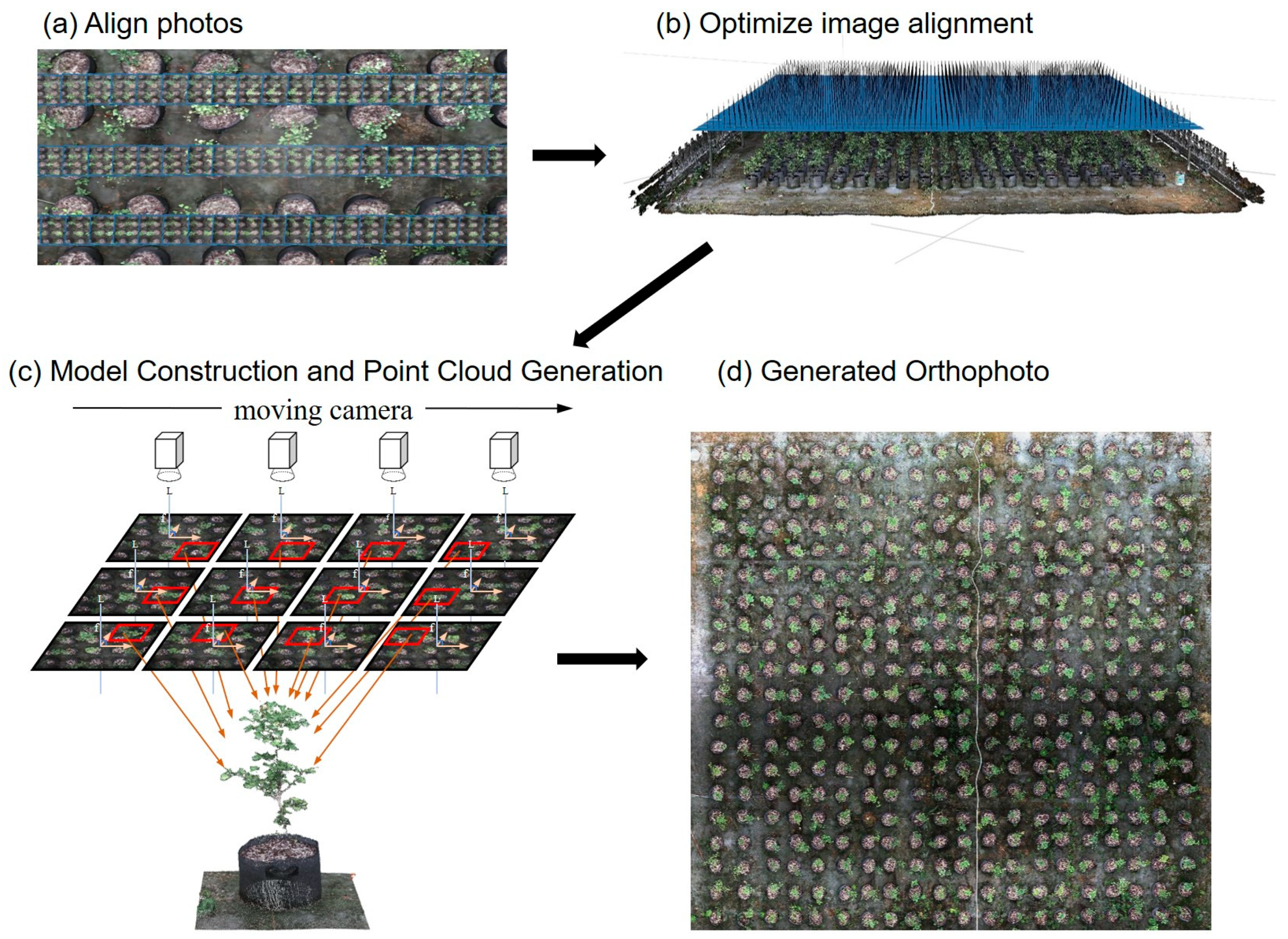 High-Precision Instance Segmentation of Tree Saplings by Multimodal ...