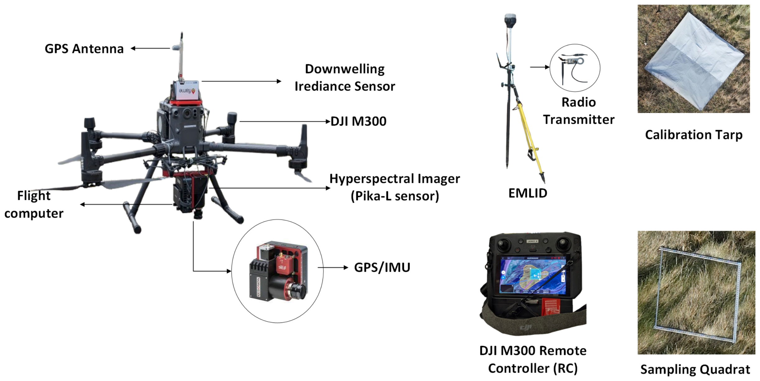 TinyCapsViT: Ultra-Lightweight Hyperspectral and Multispectral Image ...