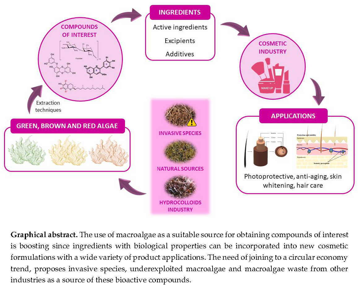 Resources | Free Full-Text | Metabolites from Macroalgae and Its  Applications in the Cosmetic Industry: A Circular Economy Approach