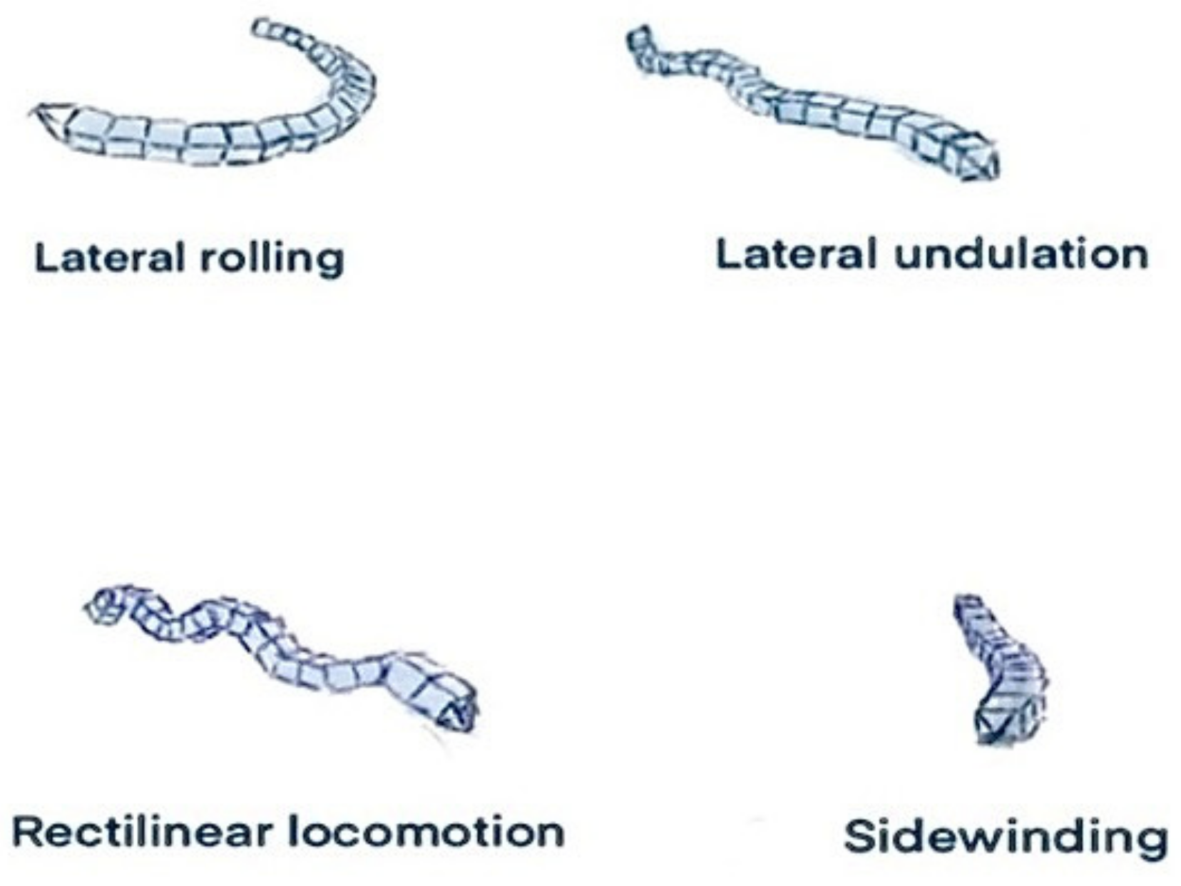 1: The snake robot ACM III (left), which was the world's first snake