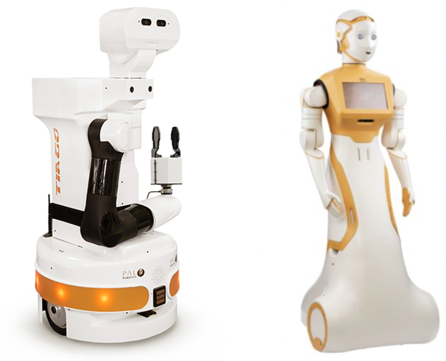 Photography of assistive humanoid robot Marko (a) and its kinematic