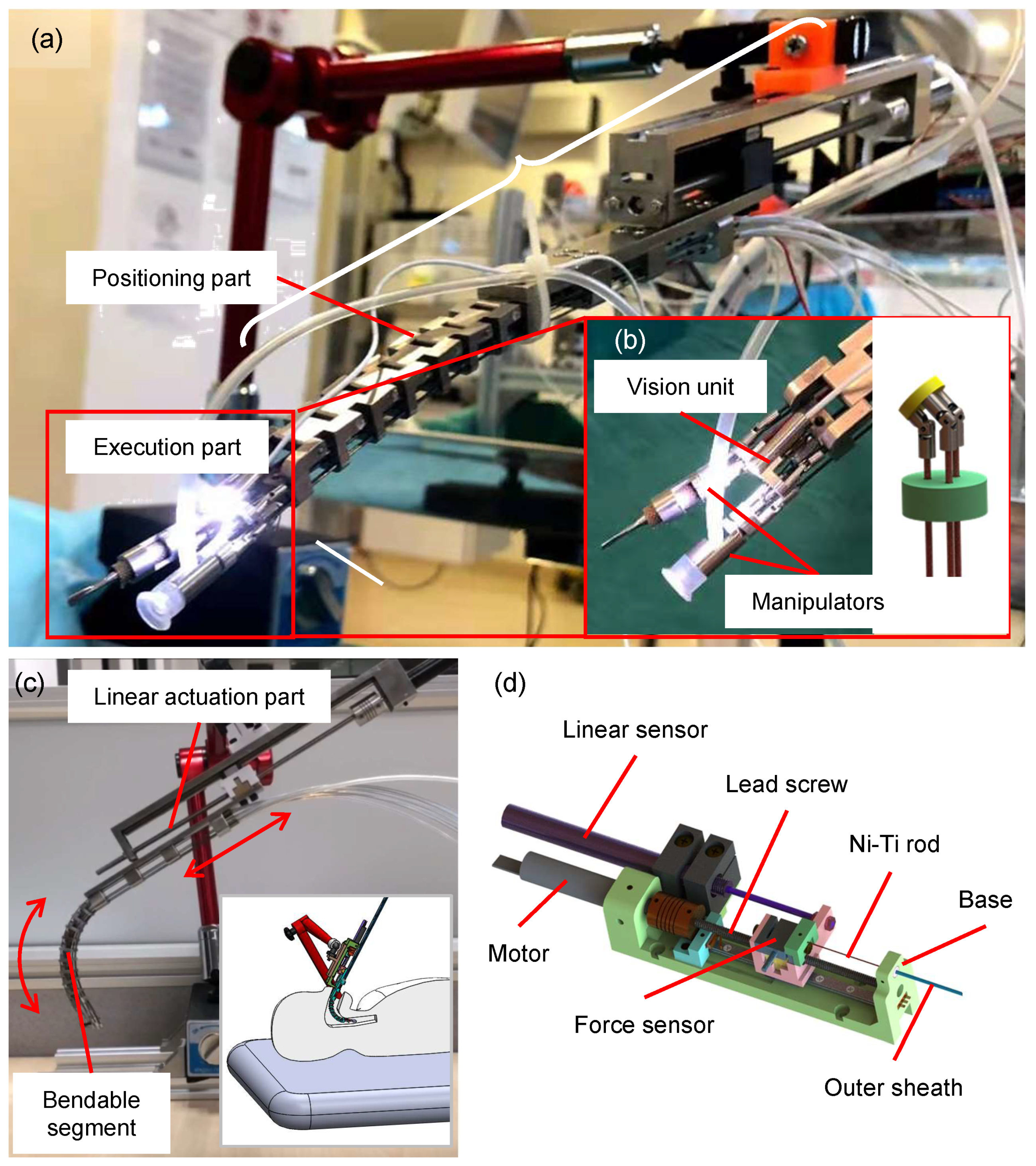 Robotics Free Full-Text Compliant and Flexible Robotic System with Parallel Continuum Mechanism for Transoral Surgery A Pilot Cadaveric Study