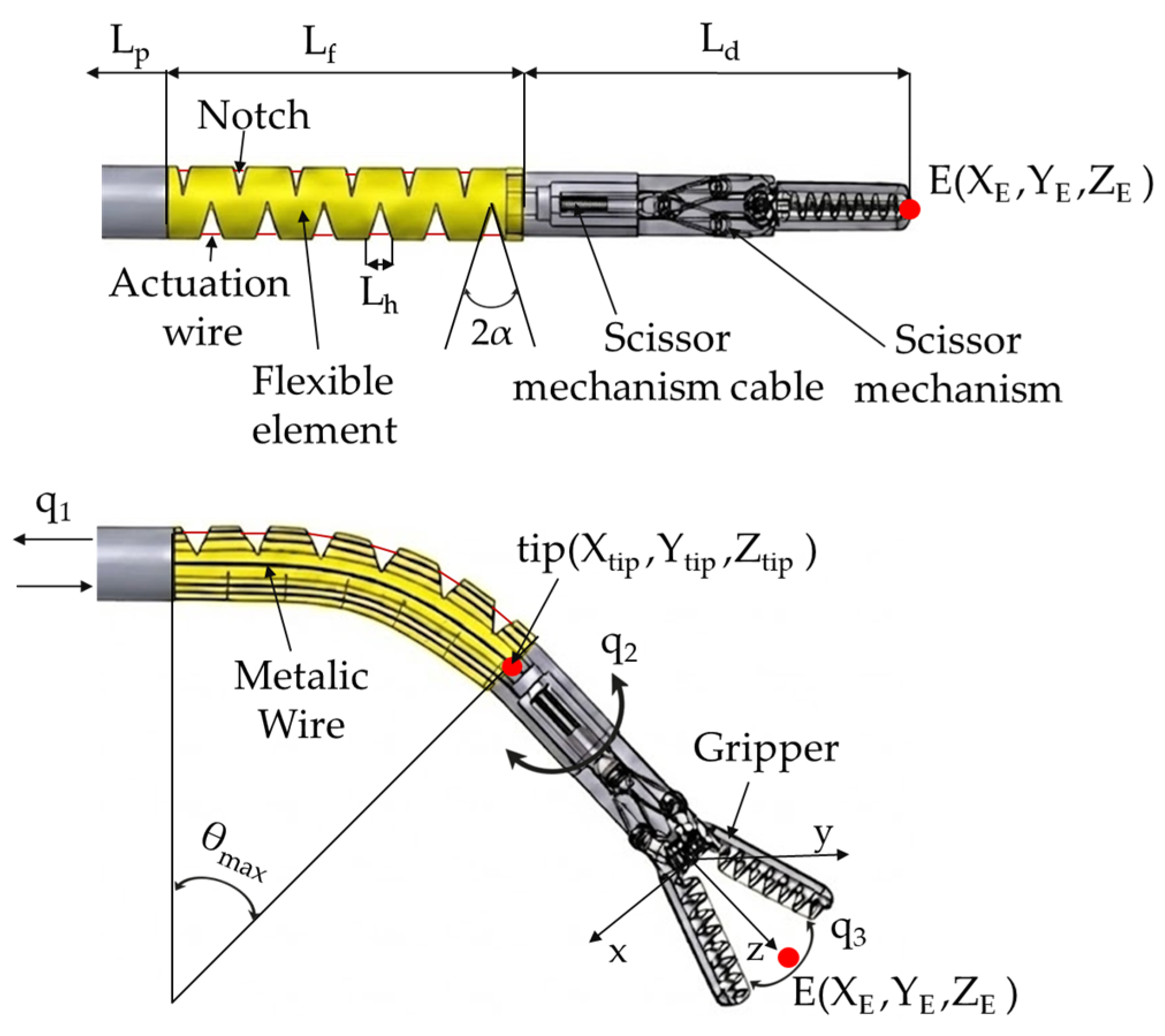 Modeling of a 4-DOF Flexible Laparoscopic Instrument for Robot-Assisted ...