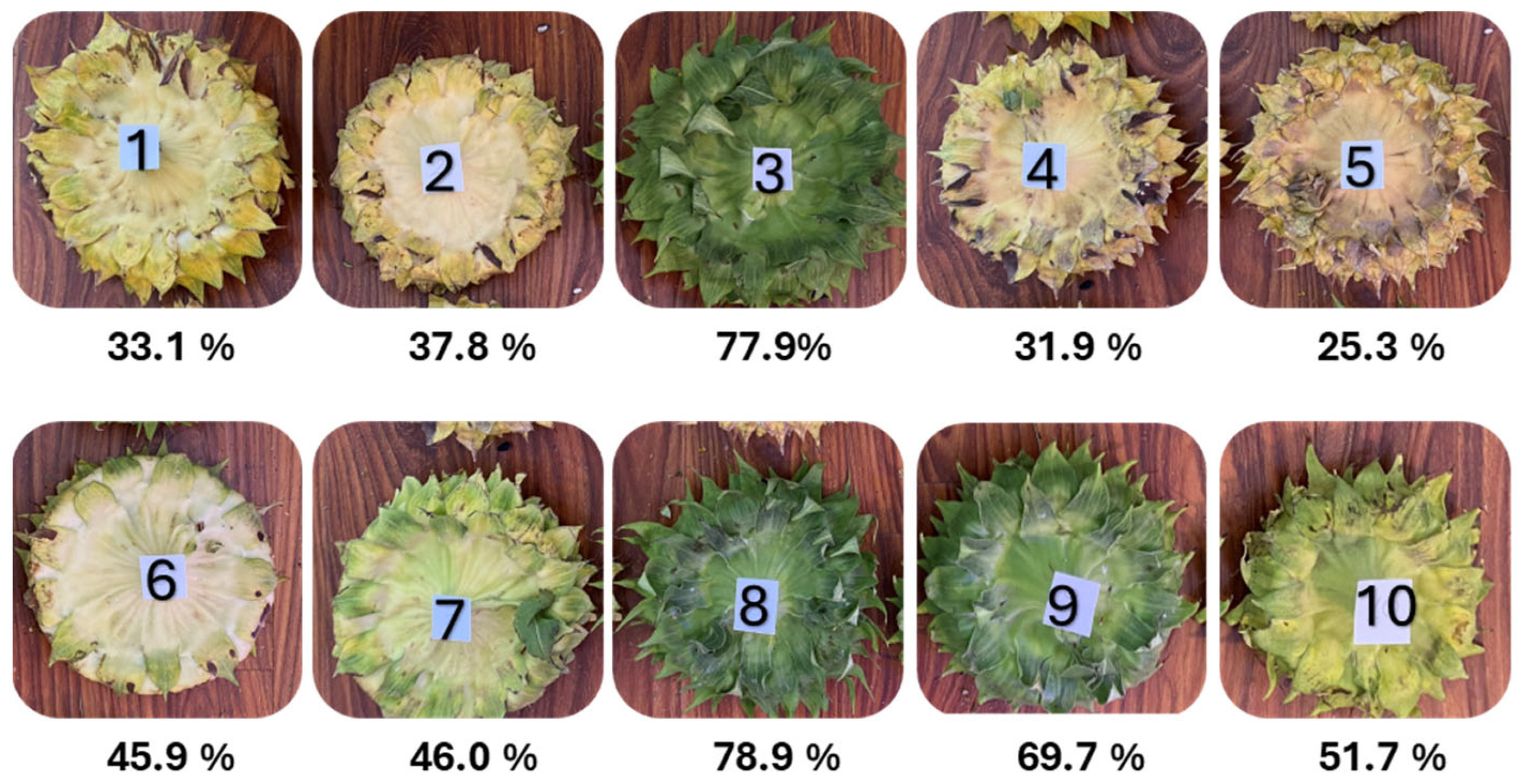 Evaluation of Sunflower Seed Moisture Content by Spectral ...