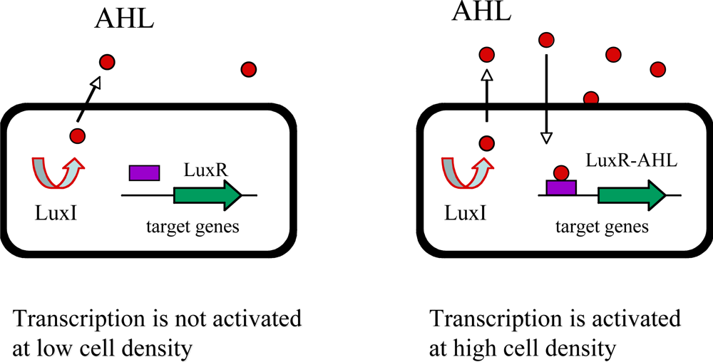 Sensors, Free Full-Text