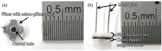 Sensors | Free Full-Text | Rapid ELISA Using a Film-Stack Reaction ...