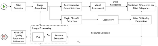 Fast and Reliable Determination of Virgin Olive Oil Quality by Fruit ...