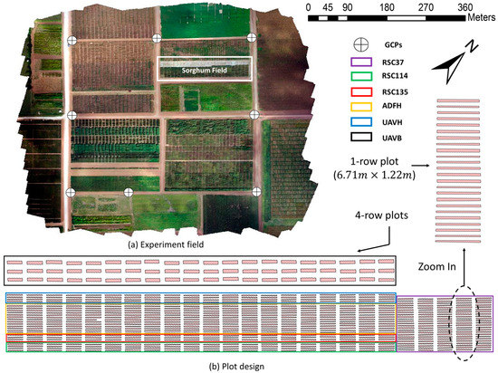Measurement and Calibration of Plant-Height from Fixed-Wing UAV Images