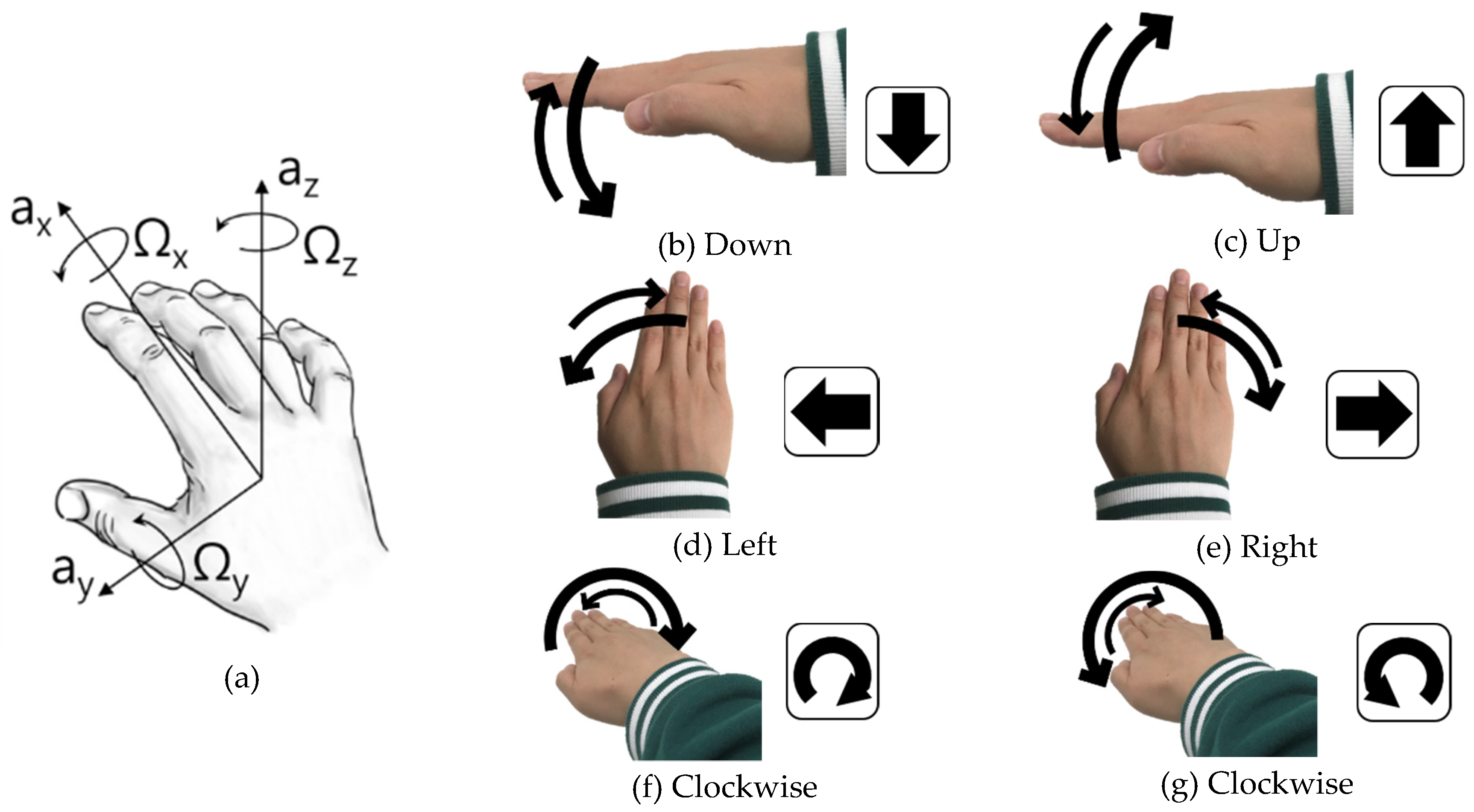 Sensors | Free Full-Text | Gyroscope-Based Continuous Human Hand ...