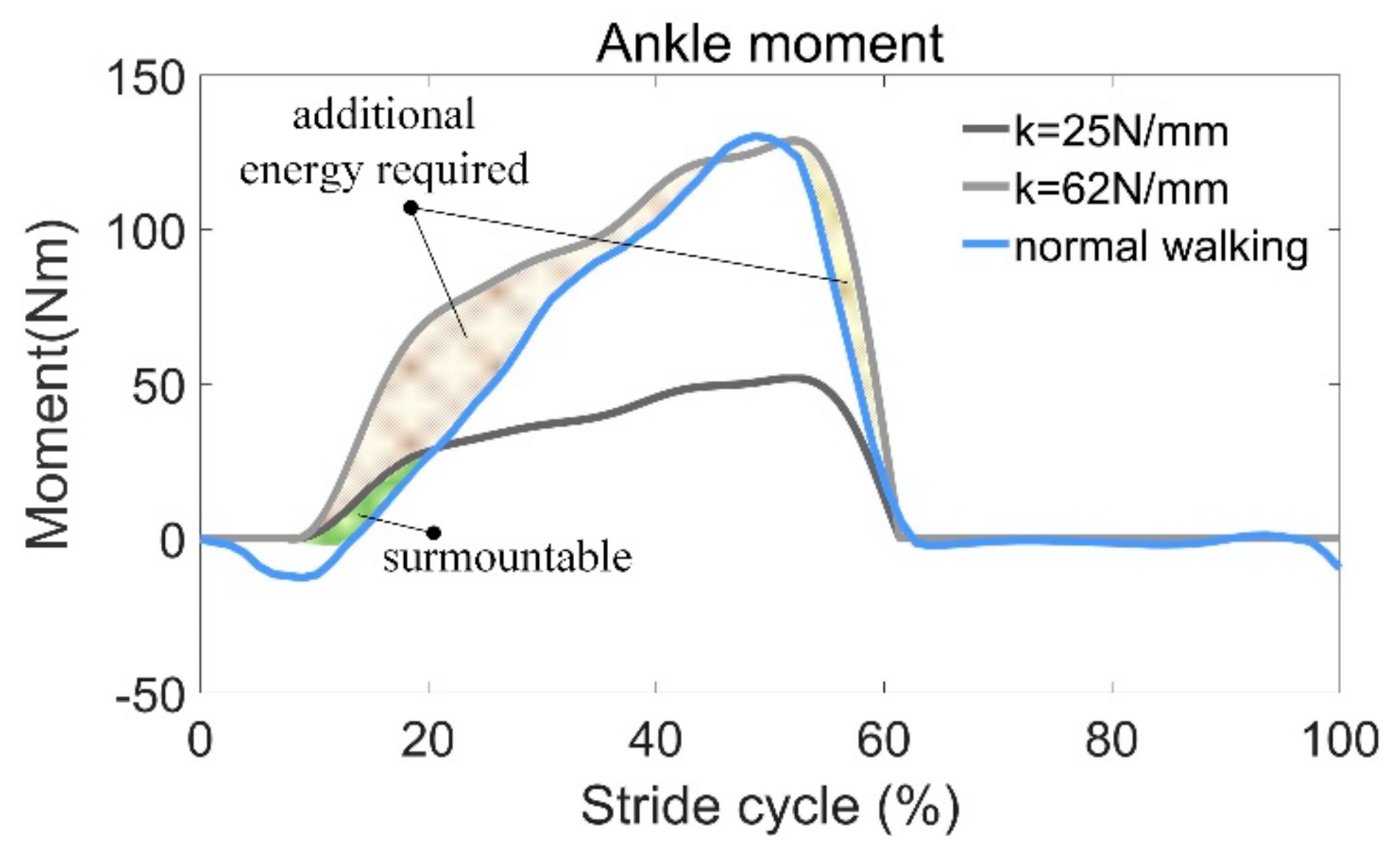 The composition of the calf muscles, which plays a key role in
