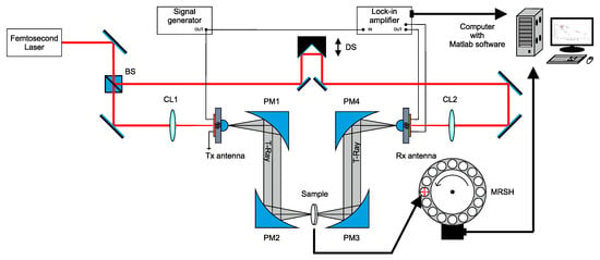 Sensors | Free Full-Text | Recognition of Pharmacological Bi ...