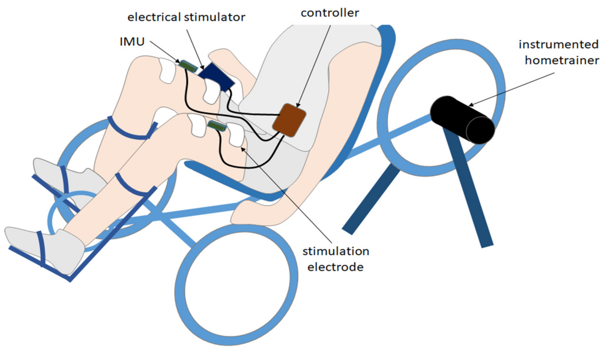 Functional Electrical Stimulation (FES)