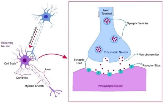 Recent Advances in Electrochemical and Optical Sensing of Dopamine