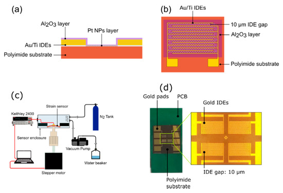 Sensors | Free Full-Text | Thin Film Protected Flexible Nanoparticle ...