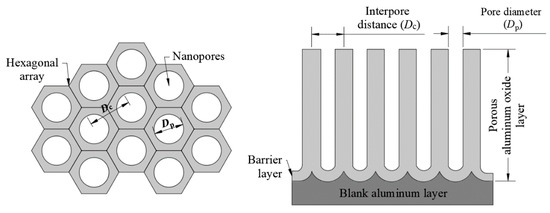 Sensors | Free Full-Text | Development of Nanoporous AAO Membrane for ...