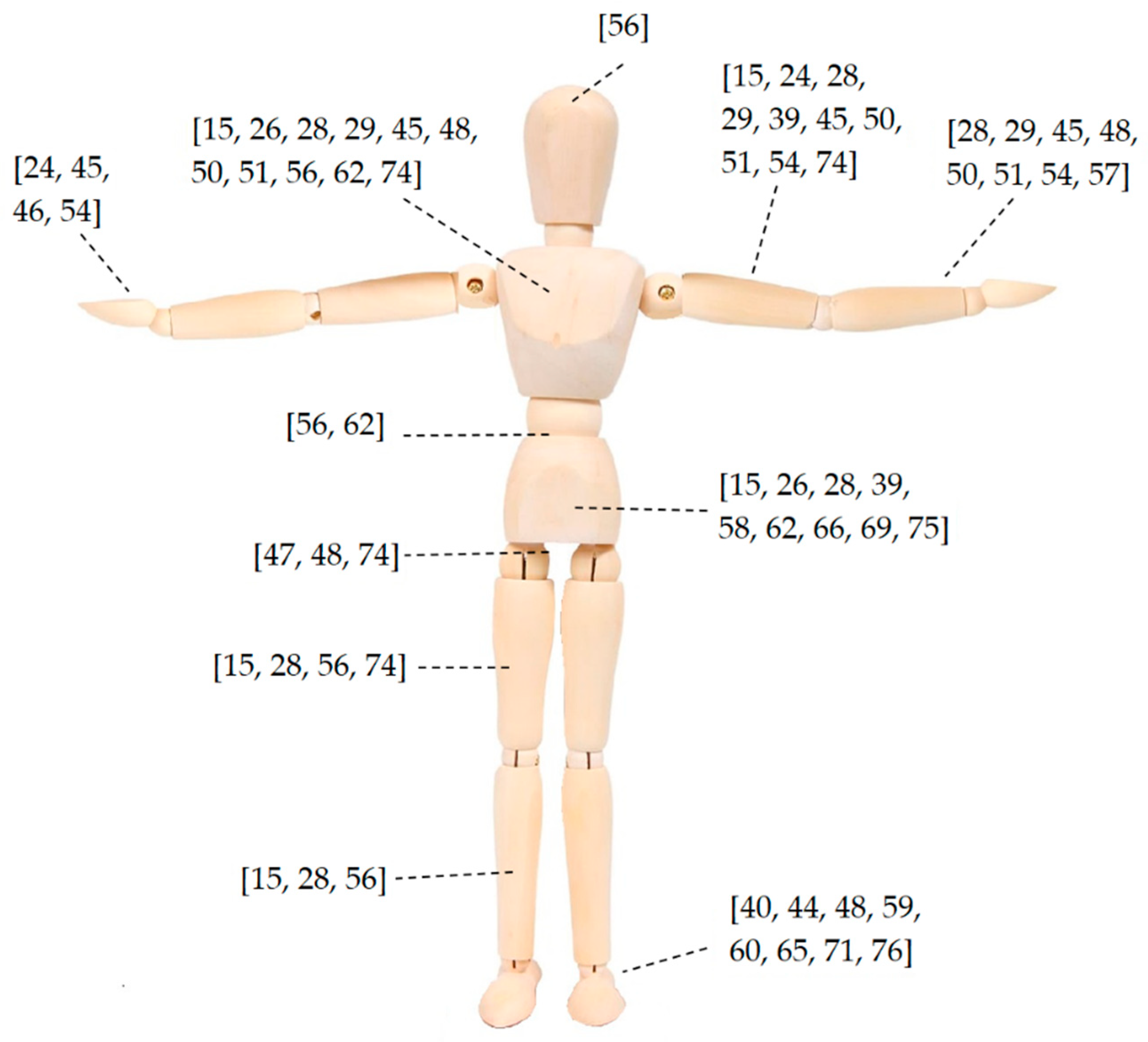Human Body Proportion Model [29].