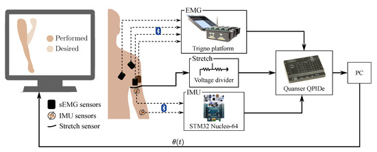 Sensors | Free Full-Text | Elbow Motion Trajectory Prediction Using a ...