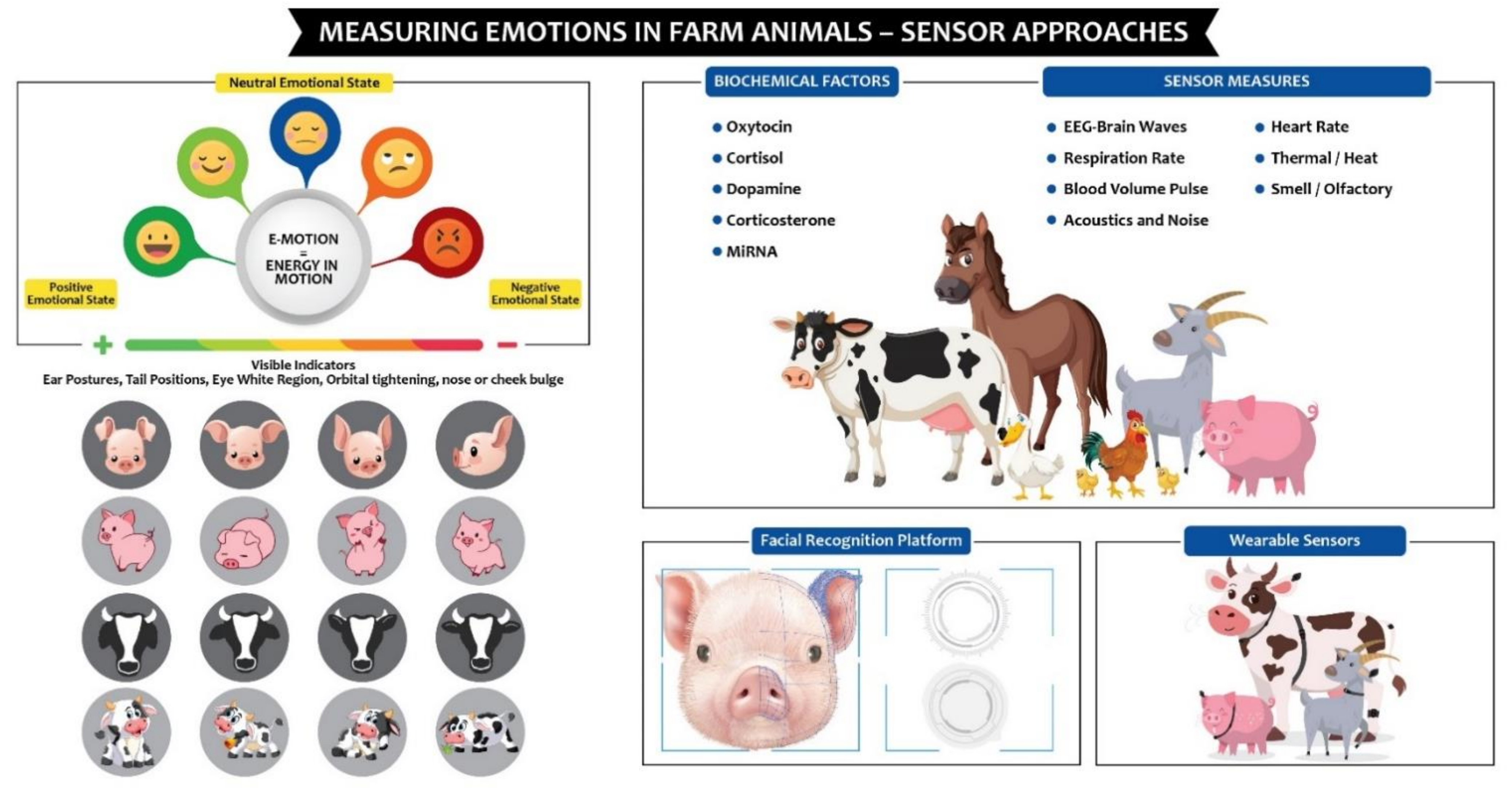 Sensors | Free Full-Text | Measuring Farm Animal Emotions—Sensor-Based  Approaches