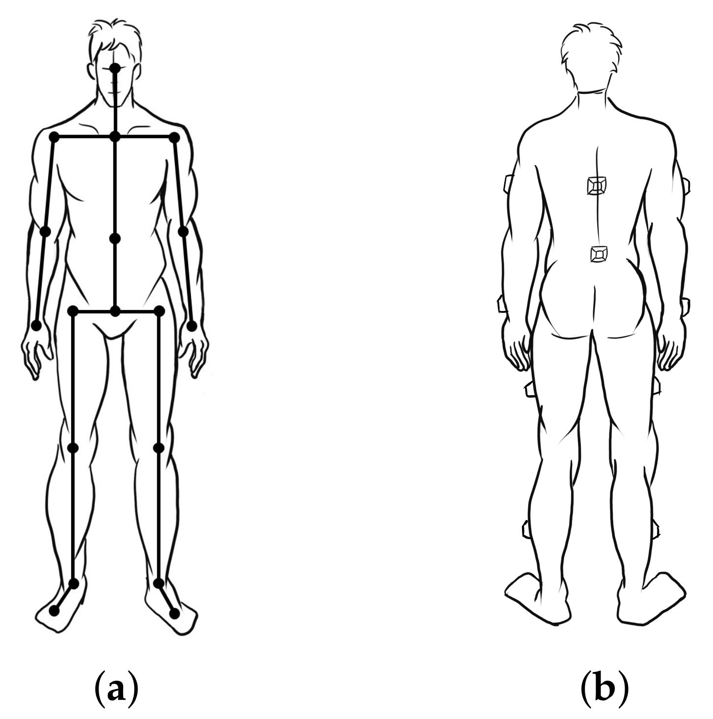 Schematic of the whole body structure definition with rigid body