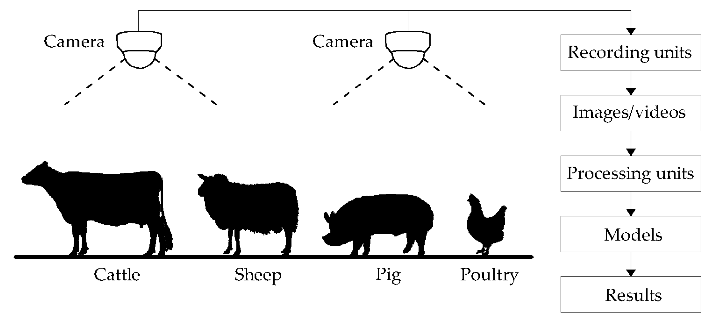 Sensors | Free Full-Text | Practices and Applications of Convolutional  Neural Network-Based Computer Vision Systems in Animal Farming: A Review
