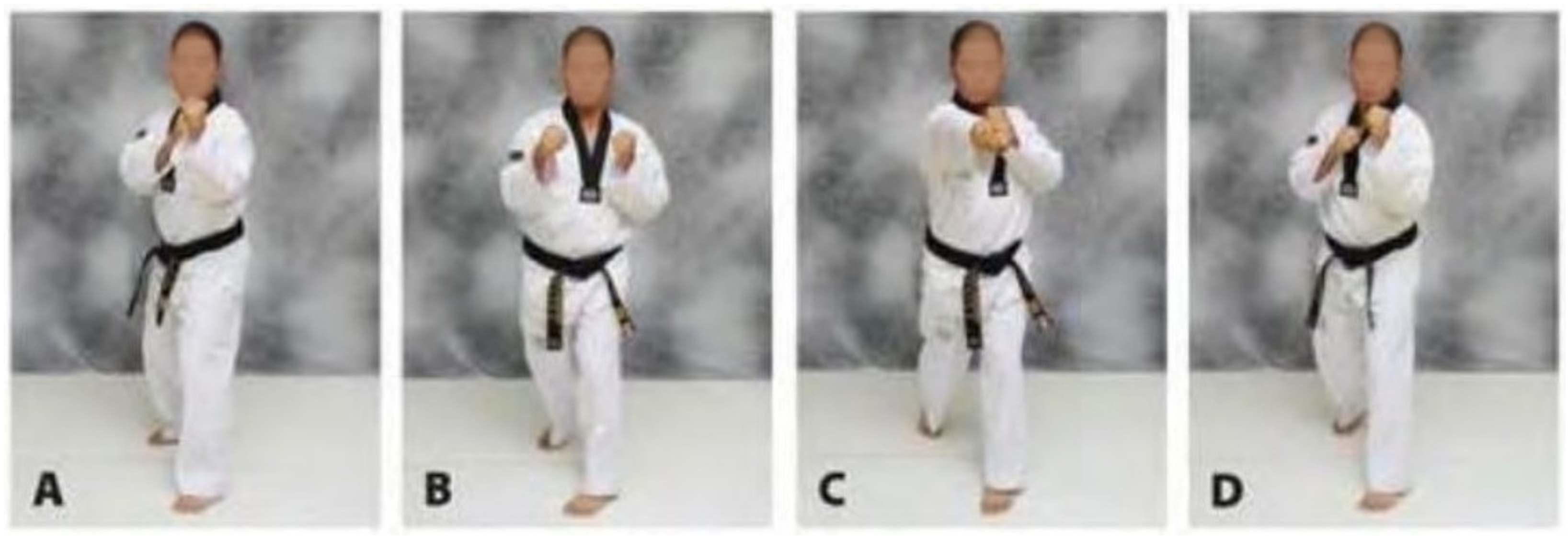 karate fist stance