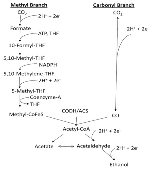 Sensors | Free Full-Text | Review of Dissolved CO and H2 Measurement ...