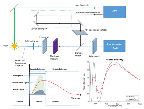 Sensors | Free Full-Text | Fast Gating for Raman Spectroscopy