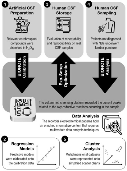 Csf Analysis Workflow Design of an Innovative Methodology for Cerebrospinal Fluid Analysis ...