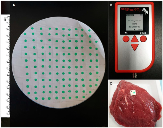 https://pub.mdpi-res.com/sensors/sensors-21-04256/article_deploy/html/images/sensors-21-04256-g001-550.jpg?1624347930