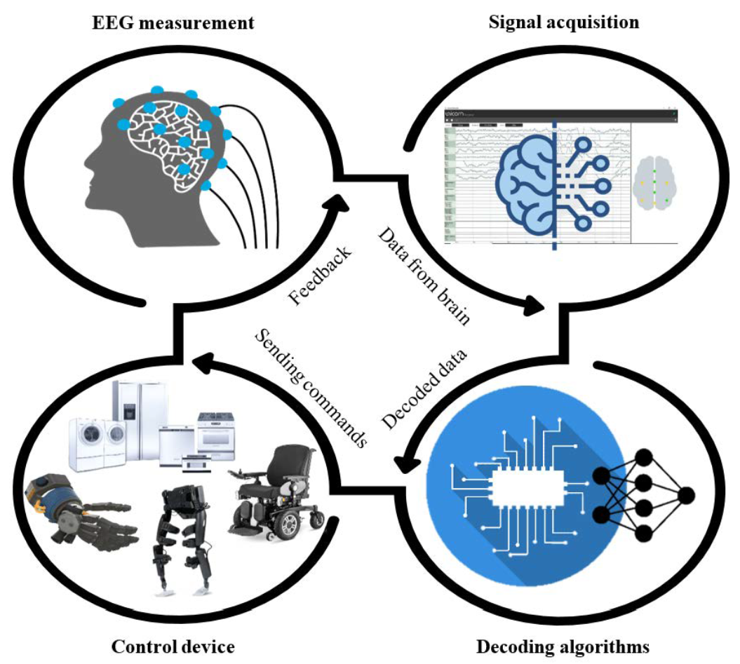 Sensors | Free Full-Text | Noninvasive Electroencephalography