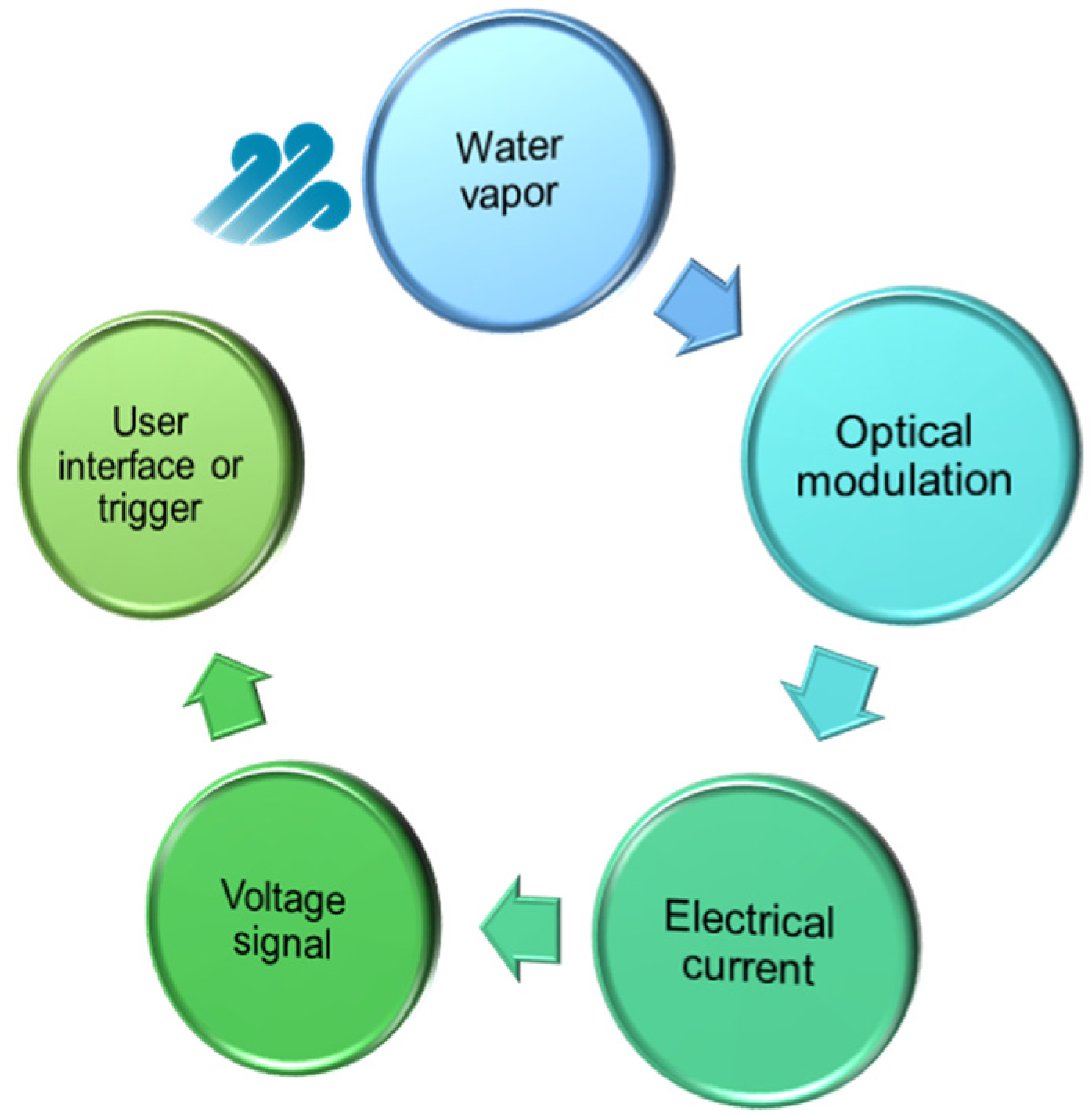 Sensors | Free Full-Text | Review of Optical Humidity Sensors