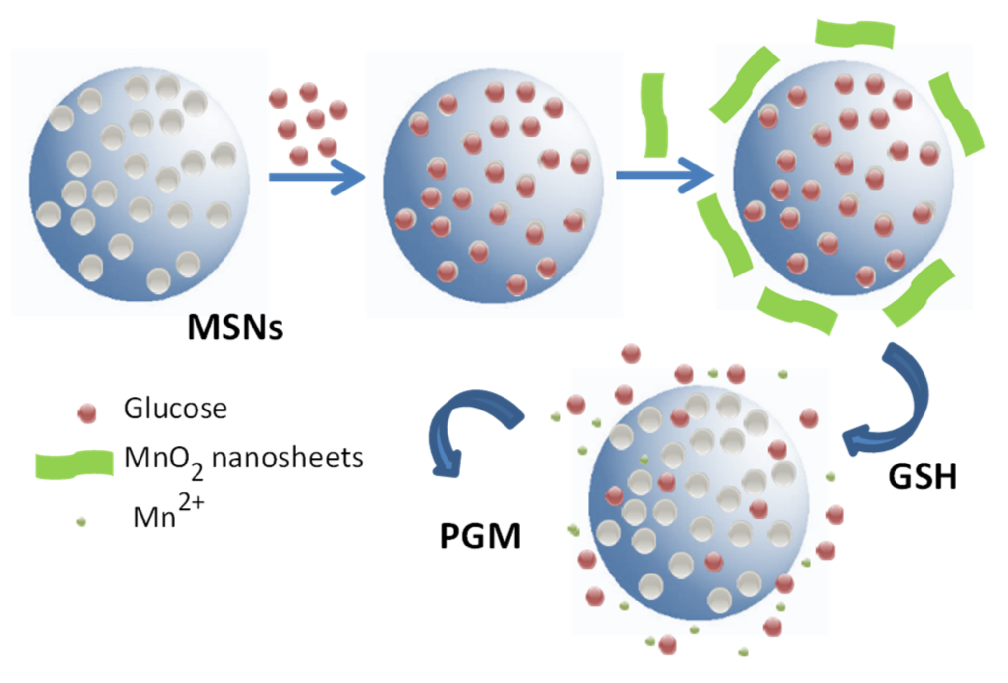 Mesoporous Silica Nanoparticles In Chemical Detection From Small Mesoporous Silica Nanoparticles In Chemical Detection From Small