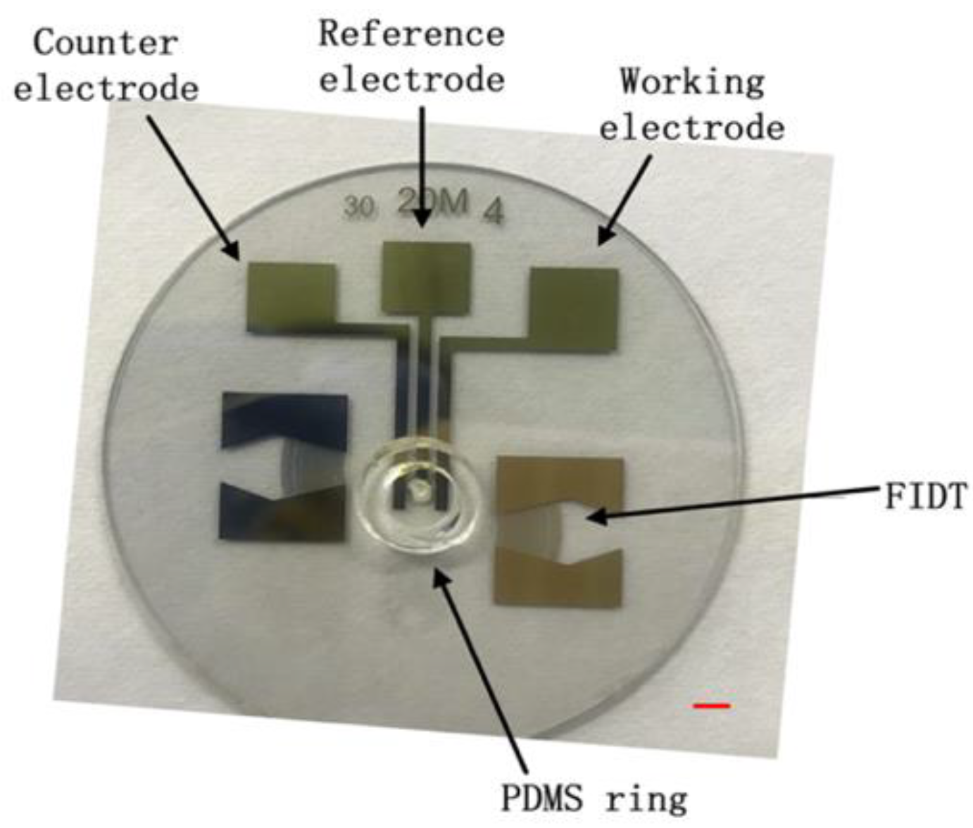 Ring Counter in Digital Electronics - Javatpoint
