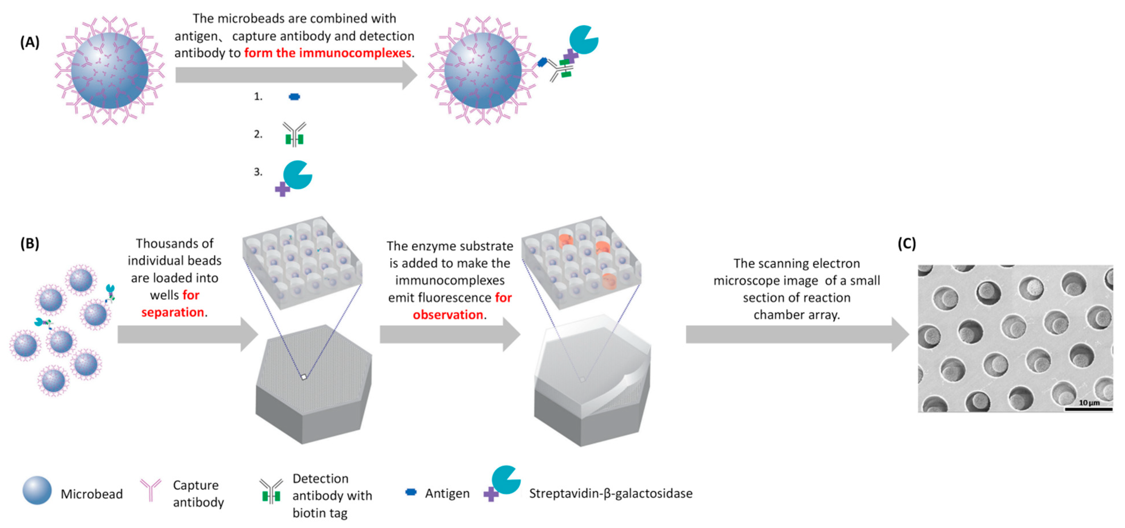 Simplifying Cancer Detection using point-of-care Technologies