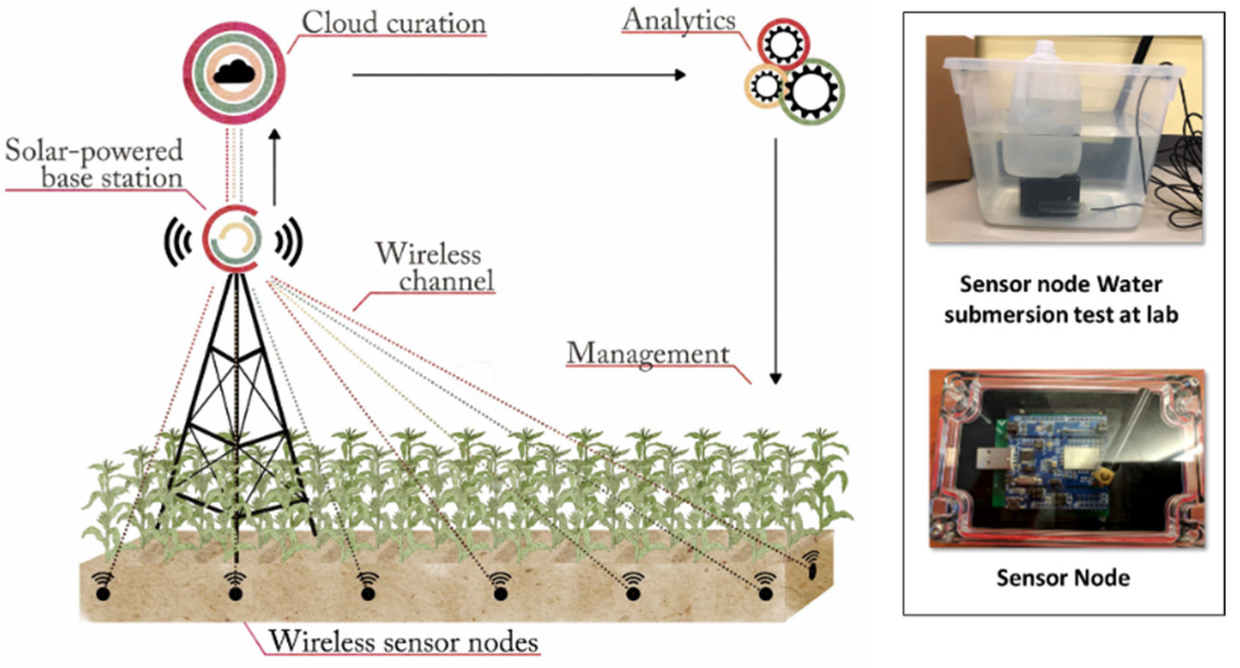 Sensors, Free Full-Text