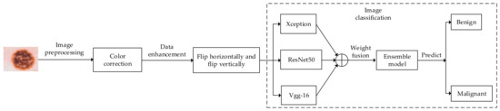Dermoscopic Image Classification Method Using an Ensemble of Fine-Tuned ...