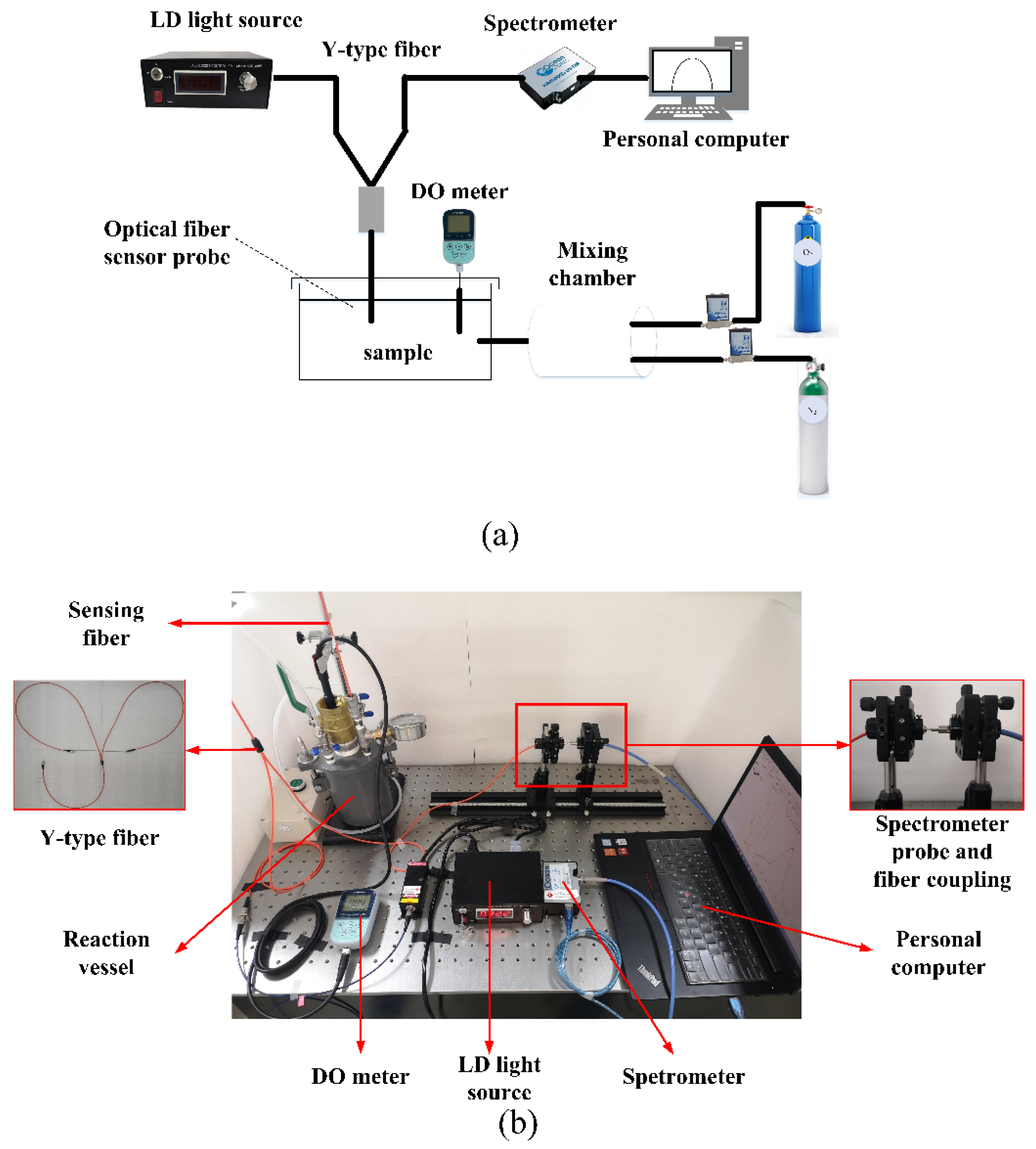 Ratiometric Optical Fiber Dissolved Oxygen Sensor Based On Fluorescence Ratiometric Optical Fiber Dissolved Oxygen Sensor Based On Fluorescence