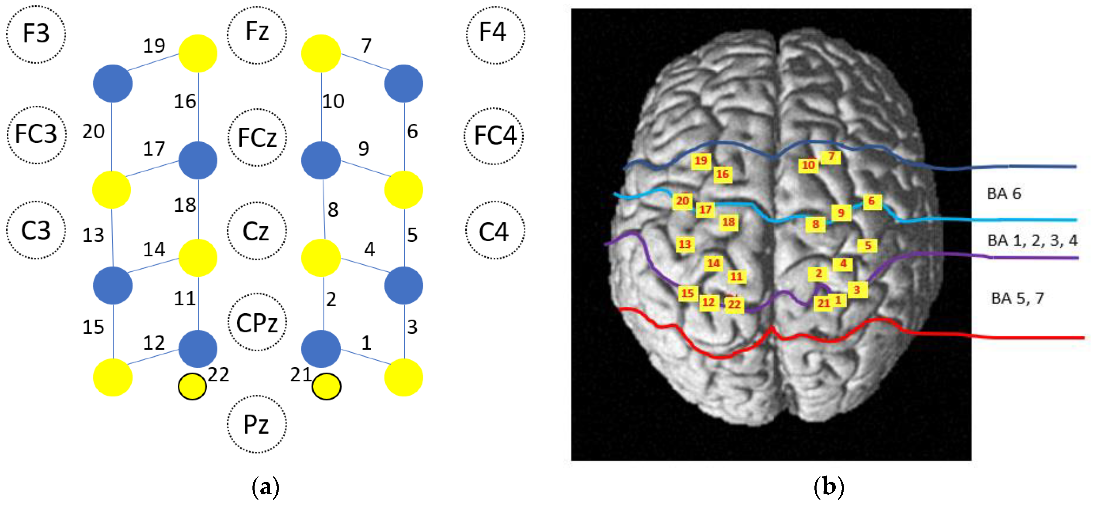 Sensors | Free Full-Text | Relation between Cortical Activation 