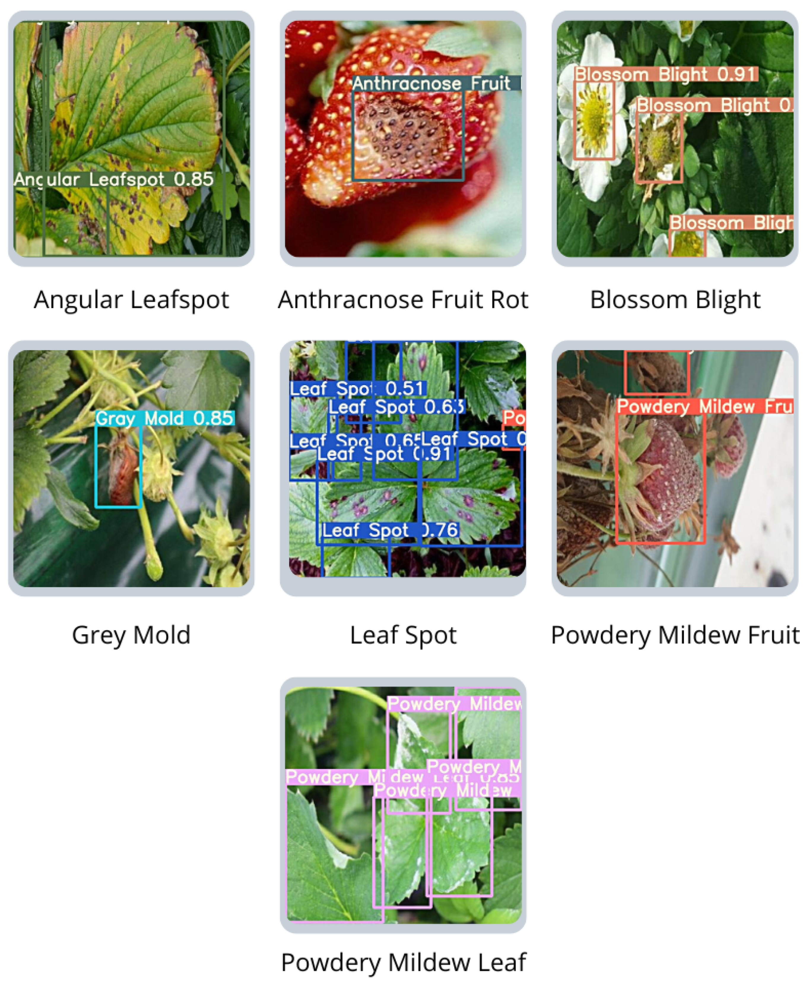 Sensors | Free Full-Text | Smart Strawberry Farming Using Computing and IoT