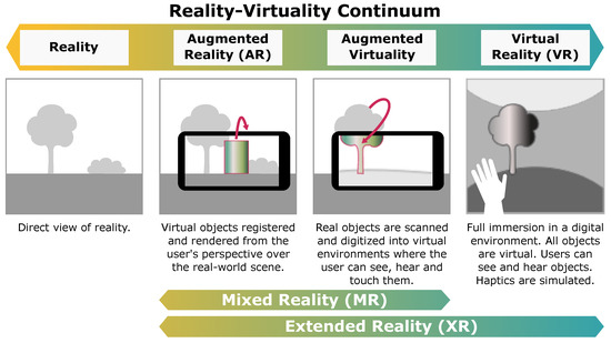 What Is Extended Reality? Every Immersion Counts!