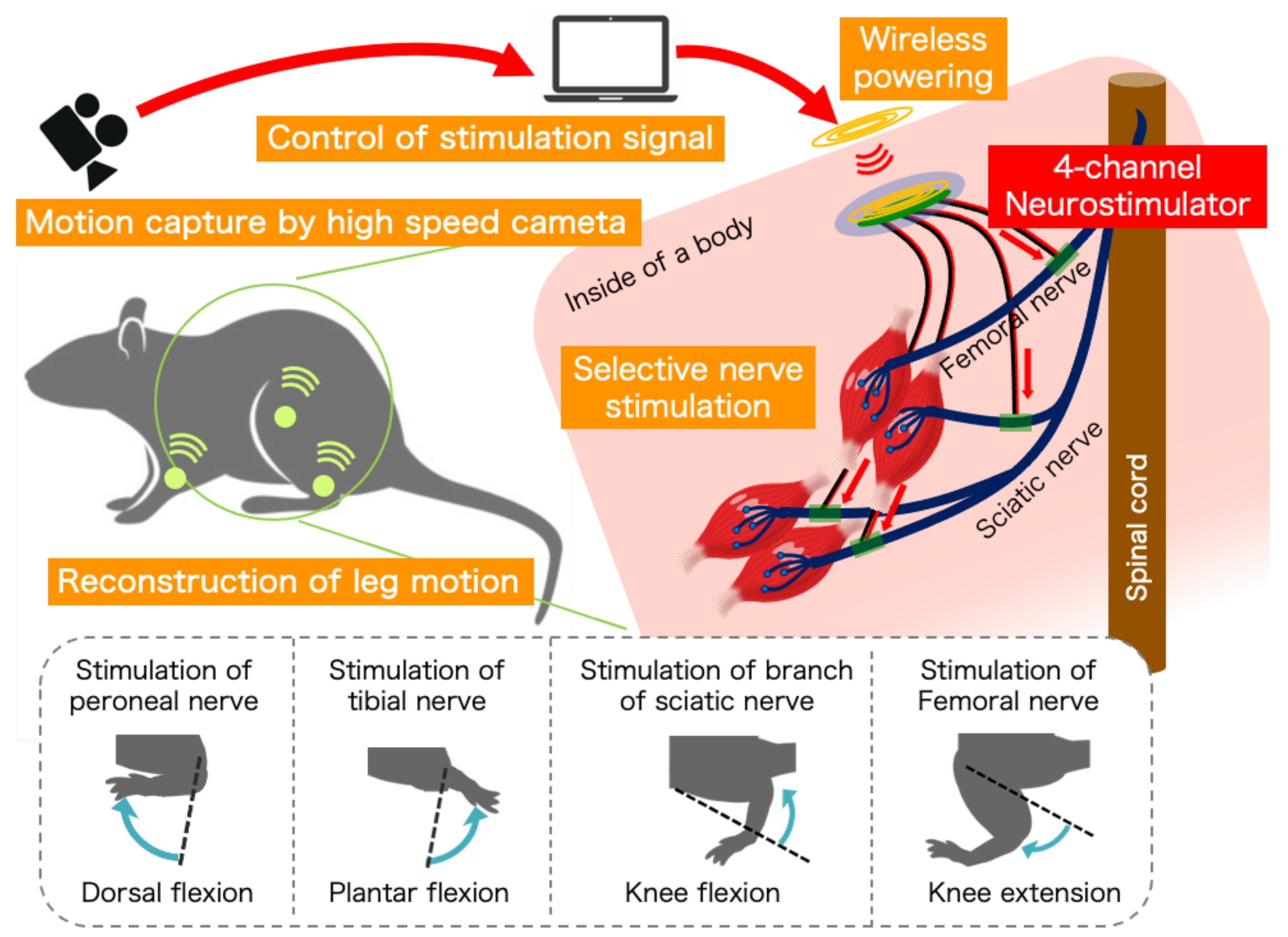 https://pub.mdpi-res.com/sensors/sensors-22-07198/article_deploy/html/images/sensors-22-07198-g001.png?1664351934