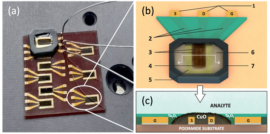Glyphosate Sensor Based on Nanostructured Water-Gated CuO Field-Effect ...