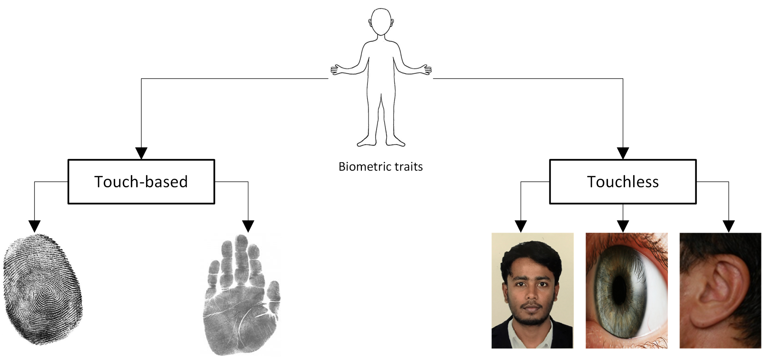 Sensors | Free Full-Text | Biometric Security: A Novel Ear Recognition  Approach Using a 3D Morphable Ear Model