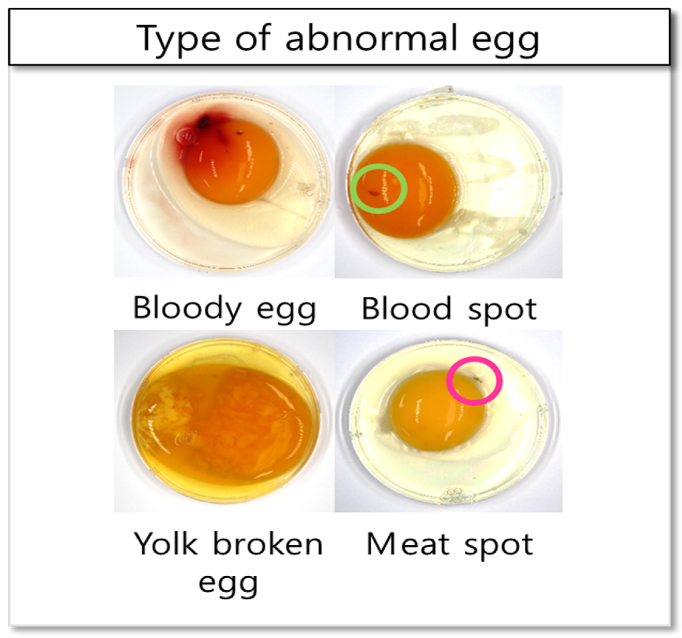 Sensors | Free Full-Text | Non-Destructive Detection of Abnormal Chicken  Eggs by Using an Optimized Spectral Analysis System