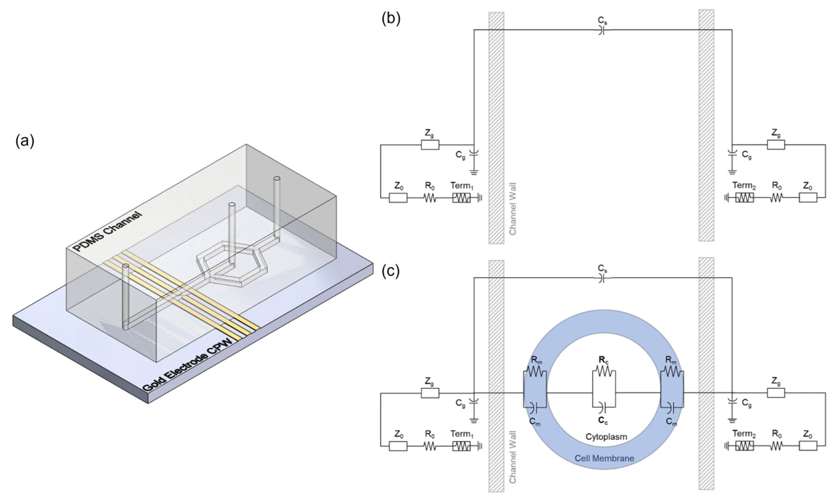 Sensors | Free Full-Text | Broadband Electrical Spectroscopy To ...