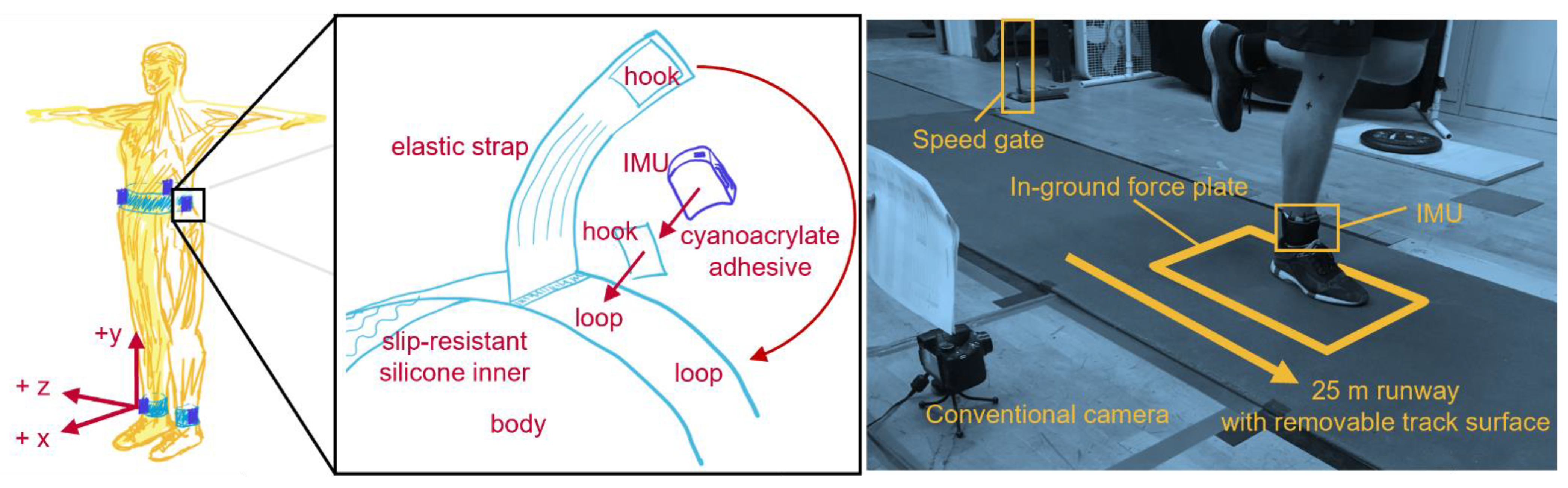 Sensors Free Full-Text Unsupervised Gait Event Identification with a Single Wearable Accelerometer and/or Gyroscope A Comparison of Methods across Running Speeds, Surfaces, and Foot Strike Patterns photo
