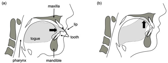 Sensors | Free Full-Text | Real-Time Continuous Monitoring of Oral Soft ...